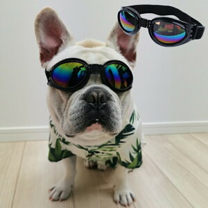  ĕ TOX ybgp S[O t`uhbN  ANZT[  킢 C RXv RX`[ ^ ^ ^ ߉\  S[O qUVی KM619G