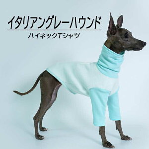  C^AO[nEh nClbNTVc Lт XgXt[ ACXu[ YJ[  C^O   IG003TS