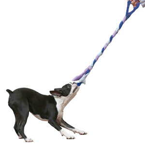 y񂹁z gXg~[ [v ANA ( M[ , ANA )