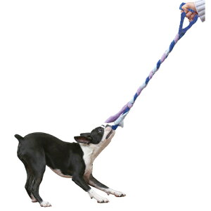 y񂹁z gXg~[ [v LfB ( M[ , LfB )