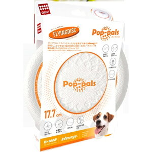 y񂹁z GiGwi |bvp tCOfBXN