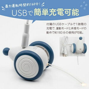 y񂹁z EBLbhE}EXiApricotj ( AvRbg )