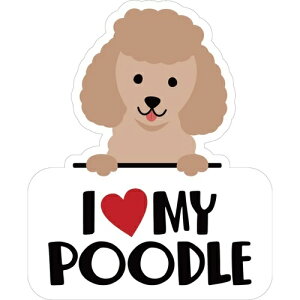 �y�����񂹁z �X�e�b�J�[�p�b�NL�A�C���u�v�[�h�����b�h �A�����J