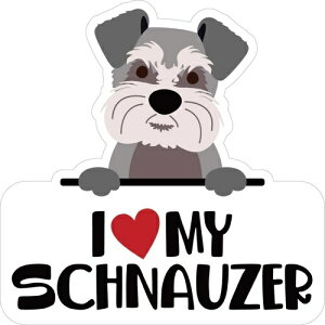 y񂹁z XebJ[pbNLACuViEU[ AJ