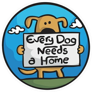 y񂹁z XebJ[pbN L GuhbOj[hz[ AJ