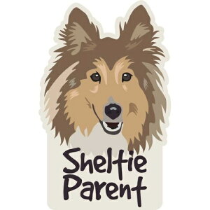 y񂹁z XebJ[pbN S VFeB[yAg AJ