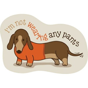 �y�����񂹁z �X�e�b�J�[�p�b�N S �m�b�g�E�F�A�����O�p���c �_�b�N�X �A�����J