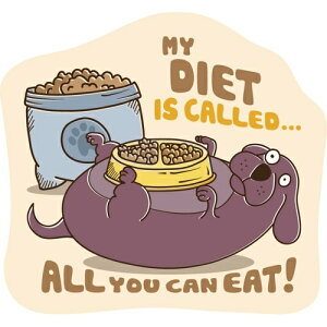 y񂹁z XebJ[pbN S I[[LC[g AJ