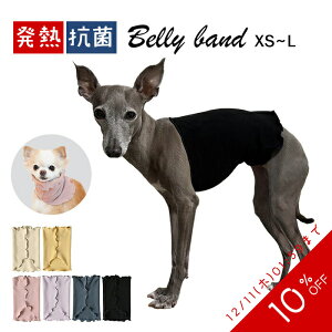 yX[p[SALE 10%OFFz NEW  z M R hL ͂܂  2way V^݌v t[X Lт  H ~   y  ۉ Lk tu ` t`uhbO pO C