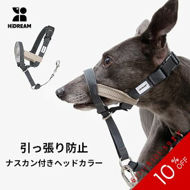 【10%OFF SALE】【送料無料】引っ張り防止 ヘッドカラー ジェントルリーダー 首輪接続ストラップ付き S M L 小型犬 中型犬 大型犬 トレーニング 問題行動 拾い食い 飛びつき マズル装着 コントロール 散歩 便利アイテム トレーニンググッズ 安全 【HiDREAM】【HD029012】