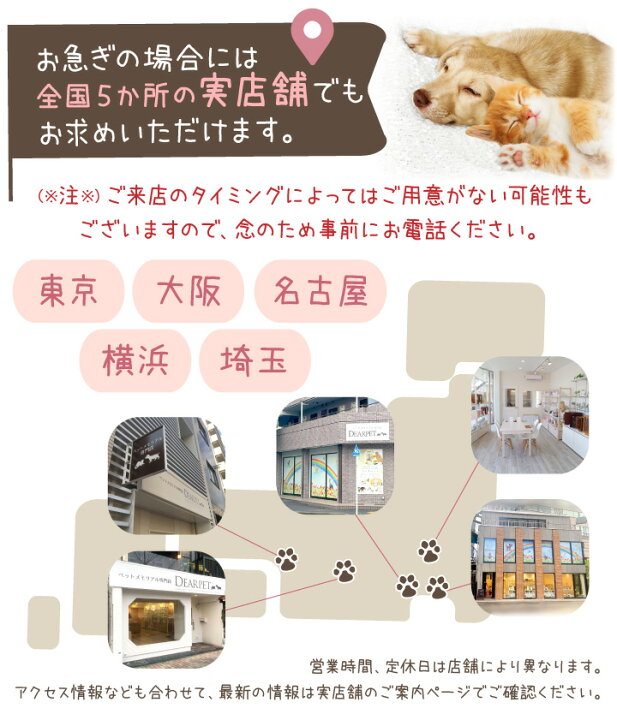 楽天市場 ペット用 棺 お別れ布団 セット 桐製 66 42 24cm 棺桶 ペット葬儀 ペット棺 ひつぎ お悔やみ ペット供養 メモリアル ペット火葬 犬 猫 うさぎ 小型犬 中型犬 木製 釘なし 金属なし ペット仏壇仏具のディアペット