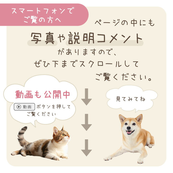 楽天市場 ペット仏具 井村屋 あずきバー 線香 本物そっくり お供え ペット仏壇 お香 お線香 お悔やみ お盆 お彼岸 命日 誕生日 犬 猫 うさぎ ご飯 おやつ かわいい ペット用 あずき 小豆 和風 アズキ 和菓子 アイス ペット仏壇仏具のディアペット