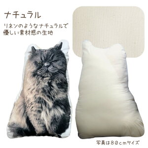 ybg ʐ^ō ANbV 21cmTCY A5 Iׂ闠n ybg{ ~j  RpNg ybg AObY I[_[Ch  ybgX ʐ^ 蕨