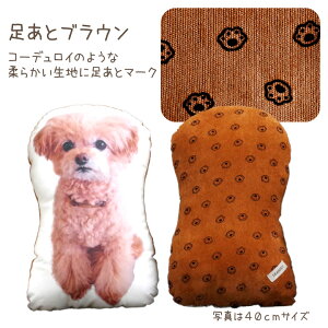 ybg AObY NbV M 28cmTCY A4 ANbV ybg{I[_[Ch ybgX v[g 蕨  킢 I[_[ ObY  L ʐ^ ybg