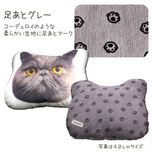 �y�b�g �ʐ^�ō�� �������A���N�b�V���� 21cm�T�C�Y A5���� �I�ׂ闠�n �y�b�g���{ �~�j ������ �R���p�N�g �y�b�g���� �������A���O�b�Y �I�[�_�[���C�h ���� �y�b�g���X �ʐ^���� ���蕨