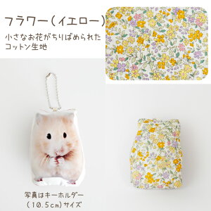 ybg ʐ^ō ANbV 21cmTCY A5 Iׂ闠n ybg{ ~j  RpNg ybg AObY I[_[Ch  ybgX ʐ^ 蕨