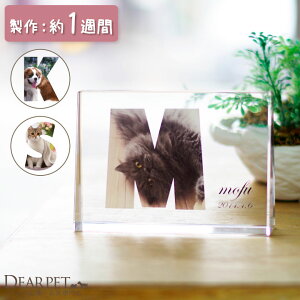 ybgʔv Lg NX^ CjV^Cv ybgA ybg ʔvNX^ ybg{  L   KX ̈ʔv L̈ʔv  lp  J[ ʐ^ 