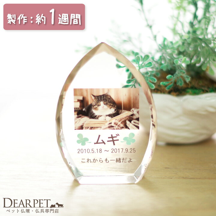 ペット 位牌 クリスタル ペット仏具 ペット供養 四十九日 猫 遺影 Y8ペット位牌 シンプル ペットの位牌 位牌クリスタル 可愛い 本格 かわいい ペット用 記念碑 ペットロス 49日 お位牌 メモリアル ミニ 名入れ 犬