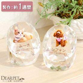 【クーポン有】ペット位牌 オーバル クリスタル カラー かわいい ペット仏具 写真 ペット供養 ガラス お位牌 記念碑 名入れ 遺影 犬 猫 動物 メモリアル ペット 小さい 手のり 早い 急ぎ