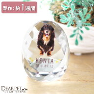 【クーポン有】ペット位牌 オーバル クリスタルDP ペット 位牌クリスタル カラー かわいい ペット仏具 写…