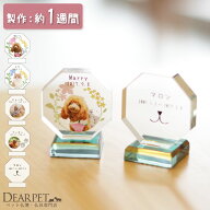 【クーポン有】ペット位牌 ティニー クリスタル ペット 位牌 ペット供養 犬 猫 うさぎ ハムスター 小動物…
