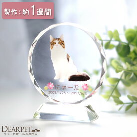 【クーポン有】ペット位牌 クリスタルの位牌 ミニ DP-2 円形 サークル ラウンド ペット ペット供養 犬 猫 うさぎ 小動物 ガラス かわいい きれい おしゃれ 犬の位牌 猫の位牌 お供え 透明 カラー いはい 49日 四十九日 安い 写真 ミニ かわいい