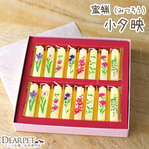 ybg Ԃ낤 낤 [f 16{ Gyybg{zyzyLhzyybgdɁzyXzy蕨zy~zy{zyzyLzyybgzyAz