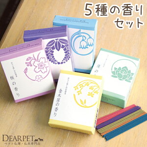 ybg  FƖ̂ 5ZbgylR|XΉzybg{ ~j  Zbg  @ ؍ 闖   p   L  ybgA 蕨 ~j