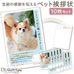 ybg A  ꖳ 10 Zbg ylR|XΉz ybgp   NX}XJ[h t nKL bZ[W ʐ^ ybg  L  I[_[ A