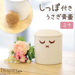 ybg   ەt 3 TCYe ETM  || fBAybg    킢 G CXg e I[_[ Ăt ybg{ ybgX A