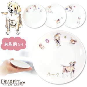 ybg 킢 uh[ O hbO v[g 1ybg{ fBAybg   ~j GTM ͂M M  L {   ybg ⍜ M M 