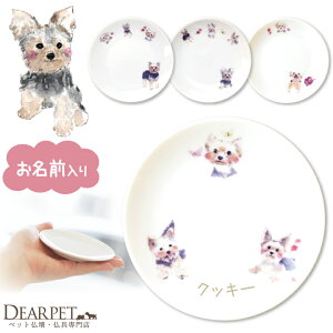 ybg 킢 [NVeA O hbO v[g 1ybg{ fBAybg   ~j GTM ͂M M  L {   ybg ⍜ M 