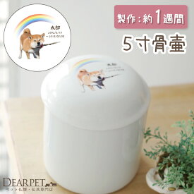 楽天市場 犬 つぼの通販