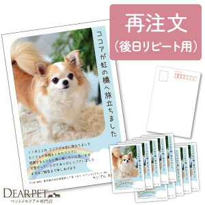 s[^[l ǉp O̊ӂ̋C`r͂ A NX}XJ[h 10Zbg