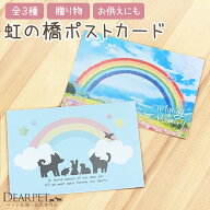 虹の橋 ポストカード 【ネコポス対応】犬 猫 お悔やみ 贈り物 ペット かわいい 動物 手紙 はがき カード …