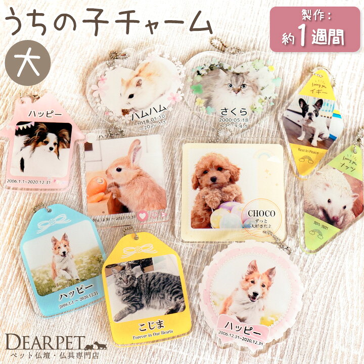 楽天市場 1個プレゼント ペット 名入れ 無料 写真入り アクリルチャーム大 ネコポス送料無料 ペット 写真 オリジナル ペット供養 ペット仏具 手元供養 プリント オーダーメイド キーホルダー オーダー 犬 猫 かわいい うちの子 メモリアルグッズ ペット骨袋にも 楽天市場 1個プレゼント ペット 名入れ 無料 写真入り アクリルチャーム大 ネコポス送料無料 ペット 写真 オリジナル ペット供養 ペット仏具 手元供養 プリント オーダーメイド キーホルダー オーダー 犬 猫 かわいい うちの子 メモリアルグッズ ペット骨袋にも