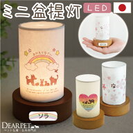 【SALE】ペット 盆提灯 お盆 ペット提灯 おかえり盆提灯 虹の橋 ペット供養 LED ネームプレート付 コード…
