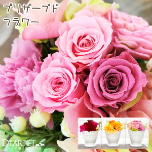 犬 お悔やみ 花の人気商品 通販 価格比較 価格 Com