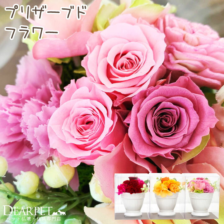 楽天市場 ペット お悔やみ プリザーブドフラワー ミニローズ レッド オレンジ ピンク 虹の橋カード付 供花 プリザ フラワー ブリザードフラワー 四十九日 かわいい おしゃれ 犬 猫 ペットロス 虹の橋 バラ 薔薇 お花 花 贈り物 自宅用 仏花 お供え ギフト ペット仏壇