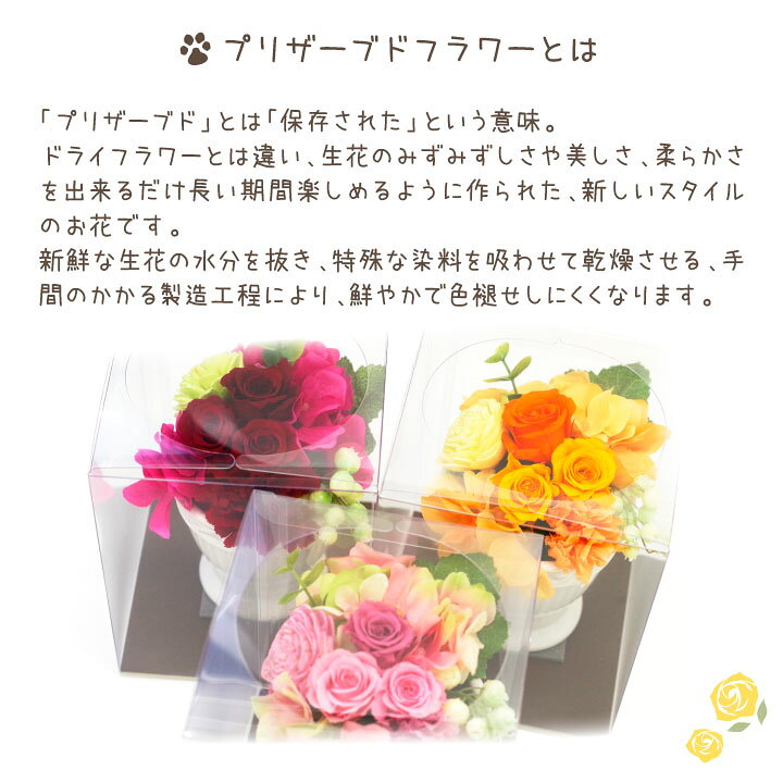 1689円 国内外の人気! 愛犬 犬 ペット お悔やみ 贈り物 花 仏花プリザーブドフラワー お供え 仏壇 ギフト 1689円 国内外の人気! 愛犬 犬 ペット お悔やみ 贈り物 花 仏花プリザーブドフラワー お供え 仏壇 ギフト