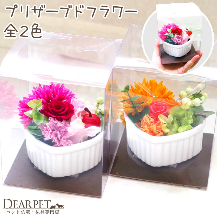 かわいい ペット お悔やみ プリザーブドフラワー ミニローズ レッド オレンジ ピンク 供花 プリザ フラワー 贈り物 自宅用 仏花 お供え ギフト 虹の橋カード付 Shipsctc Org