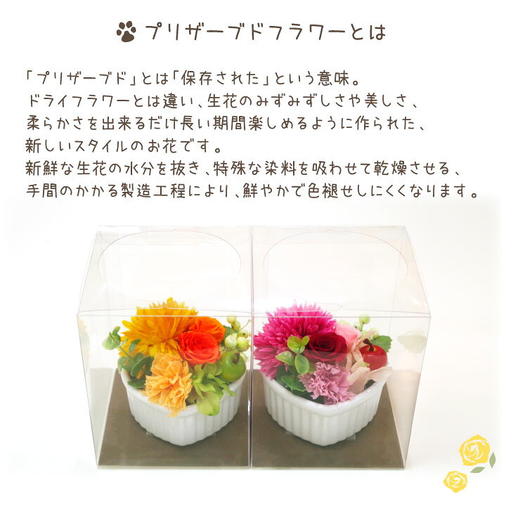 かわいい ペット お悔やみ プリザーブドフラワー ミニローズ レッド オレンジ ピンク 供花 プリザ フラワー 贈り物 自宅用 仏花 お供え ギフト 虹の橋カード付 Shipsctc Org