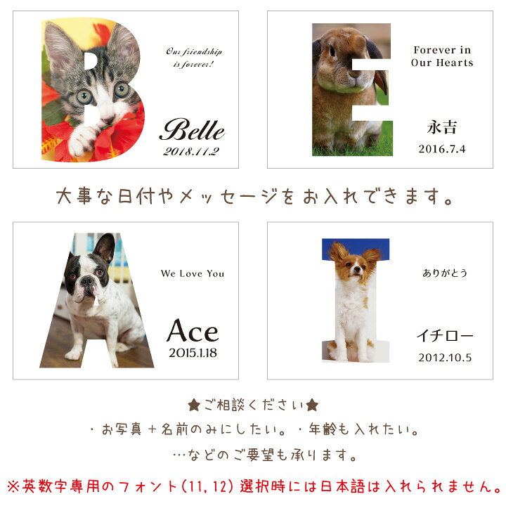楽天市場 ペット位牌 キャトル クリスタル イニシャルタイプ 特製box付 ペットメモリアル ペット 位牌クリスタル ペット供養 犬 猫 うさぎ 小動物 ガラス 犬の位牌 猫の位牌 お供え 四角 透明 カラー 写真入り 四十九日 名入れ 大型犬 中型犬 ペット仏壇仏具のディアペット