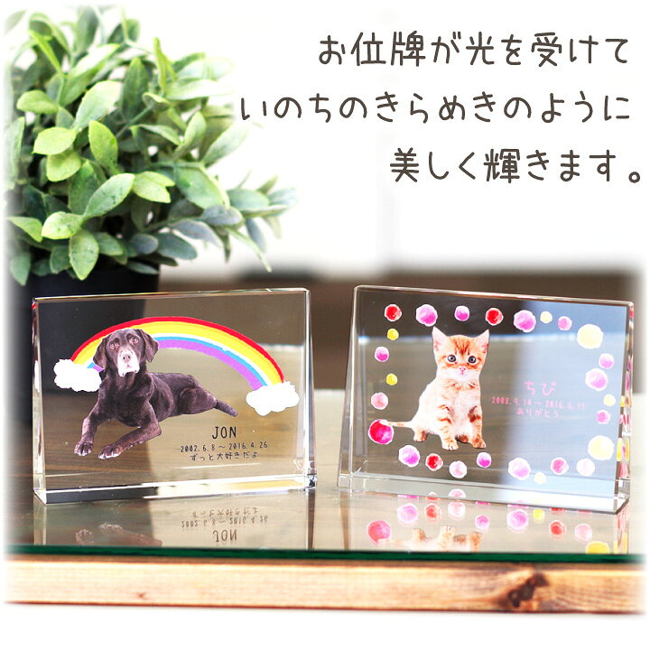ペット位牌 キャトル クリスタル お位牌 墓 イラストtype 四角 ペット供養 きれい かわいい ペット用 猫 ガラス 透明 うさぎ カラー 犬 名入れ 特製box付 写真入り おしゃれ 小動物 ペットロス ペットメモリアル 位牌 四十九日