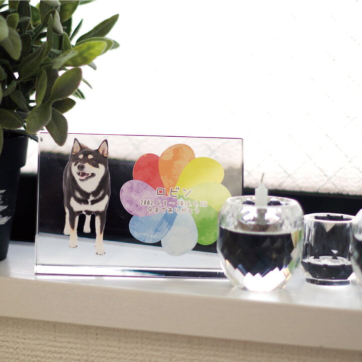 楽天市場 ペット位牌 キャトル クリスタル イラストtype 特製box付 ペット用 位牌 ペットメモリアル ペットロス ペット供養 犬 猫 うさぎ 小動物 ガラス かわいい きれい おしゃれ 四角 透明 カラー 写真入り 四十九日 墓 お位牌 名入れ ペット仏壇仏具のディアペット