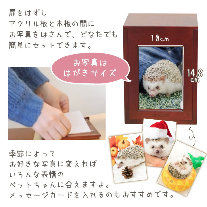 買い取り 瞳きらきら動物ペンダントトップ Premium ハリネズミ Www Anavara Com