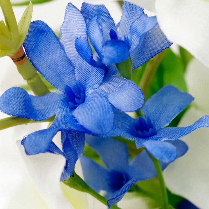 楽天市場 ペット仏具 お供え 造花 デンファレ 菊 ブーケ 花束 アーティフィシャルフラワー ボリューム 華やか お悔み 花 供花 犬 猫 うさぎ ハムスター マム 蘭 かわいい おしゃれ 仏花 ペット ペット仏壇仏具のディアペット 楽天市場 ペット仏具 お供え 造花 デンファレ 菊 ブーケ 花束 アーティフィシャルフラワー ボリューム 華やか お悔み 花 供花 犬 猫 うさぎ ハムスター マム 蘭 かわいい おしゃれ 仏花 ペット ペット仏壇仏具のディアペット