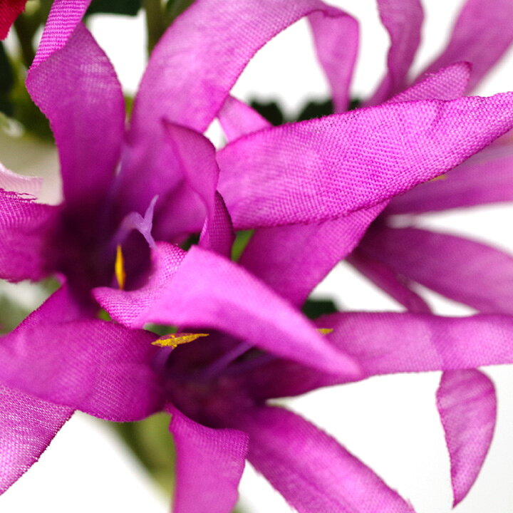 楽天市場 クーポン有 ペット仏具 お供え 造花 モカラ ダリア ブーケ 花束 アーティフィシャルフラワー 華やか ミニ お悔み 花 供花 犬 猫 うさぎ 蘭 ブルー ピンク かわいい おしゃれ 仏花 ペット ペット仏壇仏具のディアペット