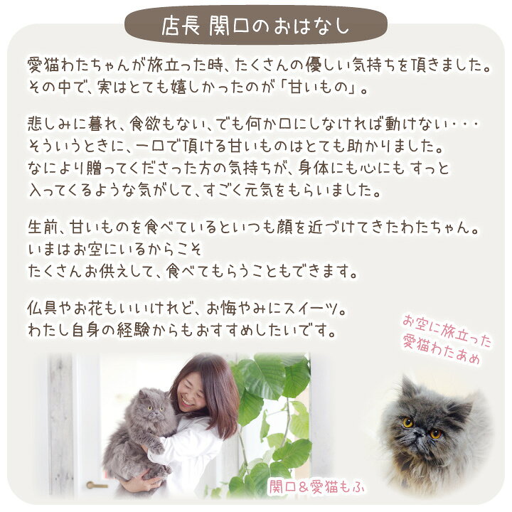 楽天市場】【ラッピング付】ペット お悔やみ 贈り物 虹の橋のたもと クッキー 線香・ろうそく ポストカード セット 虹の橋カード付 【 ネコポス送料無料】 ギフト プレゼント 贈り物 ペットロス メモリアルグッズ お供え 犬 猫 うさぎ かわいい おしゃれ 葉書 ... 楽天市場】【ラッピング付】ペット お悔やみ 贈り物 虹の橋のたもと クッキー 線香・ろうそく ポストカード セット 虹の橋カード付 【 ネコポス送料無料】 ギフト プレゼント 贈り物 ペットロス メモリアルグッズ お供え 犬 猫 うさぎ かわいい おしゃれ 葉書 ...
