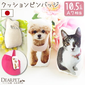 ybg I[_[ ~j A NbV ʐ^ō u[` 10.5cm ybg{ ybg  RpNg AObY I[_[Ch ybgX ʐ^ 蕨 Mtg 